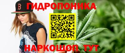 крисы Малгобек