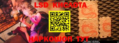 крисы Малгобек