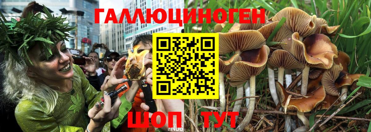 Галлюциногенные грибы ЛСД  Вход с VPN  Тихвин 